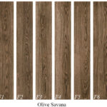Savana-Fakhar-Porcelain-20×120-Olive